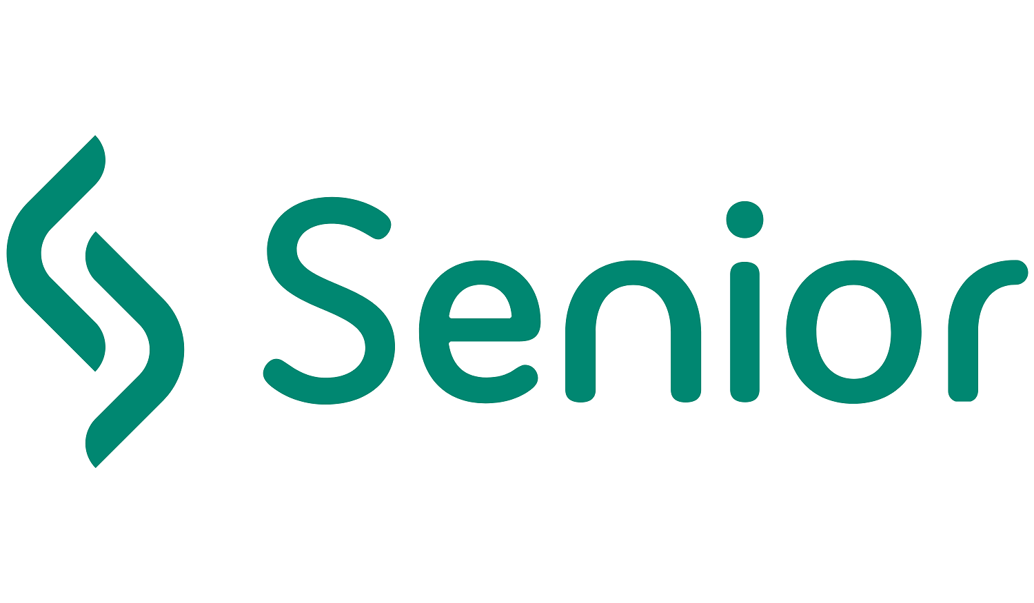 logo-SENIOR2